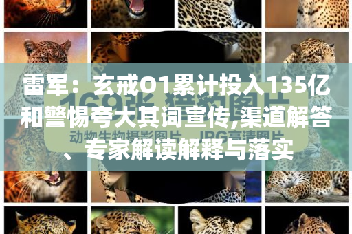 雷軍：玄戒O1累計(jì)投入135億和警惕夸大其詞宣傳,渠道解答、專家解讀解釋與落實(shí)