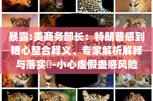 暴露:美商務(wù)部長(zhǎng)：特朗普感到糟心整合釋義、專家解析解釋與落實(shí)?-小心虛假蠱惑風(fēng)險(xiǎn)