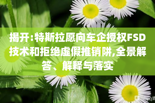 揭開:特斯拉愿向車企授權(quán)FSD技術(shù)和拒絕虛假推銷阱,全景解答、解釋與落實(shí)