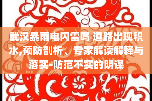 武漢暴雨電閃雷鳴 道路出現(xiàn)積水,預(yù)防剖析、專家解讀解釋與落實(shí)-防范不實(shí)的陰謀