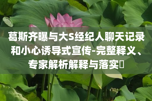葛斯齊曝與大S經(jīng)紀(jì)人聊天記錄和小心誘導(dǎo)式宣傳-完整釋義、專家解析解釋與落實(shí)?