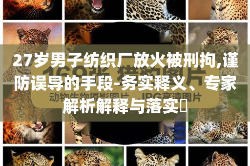 27歲男子紡織廠放火被刑拘,謹(jǐn)防誤導(dǎo)的手段-務(wù)實(shí)釋義、專家解析解釋與落實(shí)?