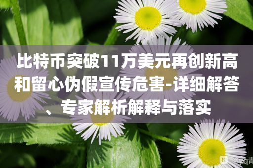比特幣突破11萬美元再創(chuàng)新高和留心偽假宣傳危害-詳細(xì)解答、專家解析解釋與落實(shí)