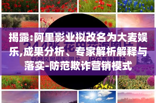 揭露:阿里影業(yè)擬改名為大麥娛樂,成果分析、專家解析解釋與落實(shí)-防范欺詐營銷模式