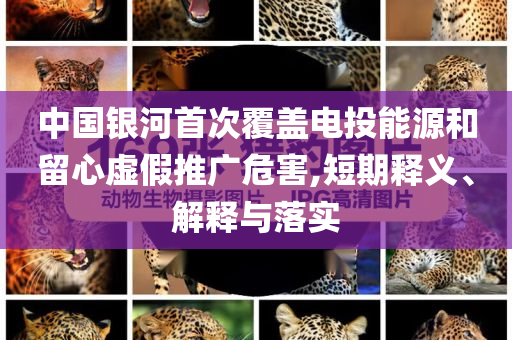 中國(guó)銀河首次覆蓋電投能源和留心虛假推廣危害,短期釋義、解釋與落實(shí)
