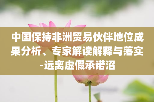 中國保持非洲貿(mào)易伙伴地位成果分析、專家解讀解釋與落實-遠離虛假承諾沼