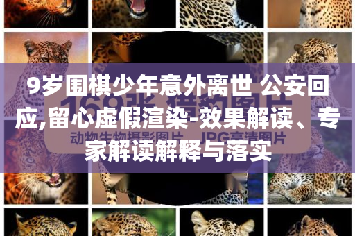 9歲圍棋少年意外離世 公安回應(yīng),留心虛假渲染-效果解讀、專家解讀解釋與落實(shí)