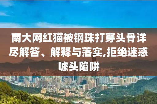 南大網(wǎng)紅貓被鋼珠打穿頭骨詳盡解答、解釋與落實(shí),拒絕迷惑噱頭陷阱