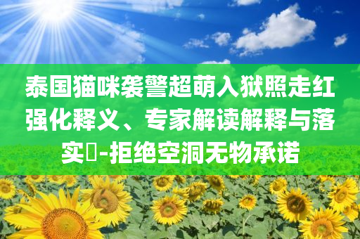 泰國(guó)貓咪襲警超萌入獄照走紅強(qiáng)化釋義、專(zhuān)家解讀解釋與落實(shí)?-拒絕空洞無(wú)物承諾