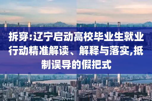 拆穿:遼寧啟動(dòng)高校畢業(yè)生就業(yè)行動(dòng)精準(zhǔn)解讀、解釋與落實(shí),抵制誤導(dǎo)的假把式