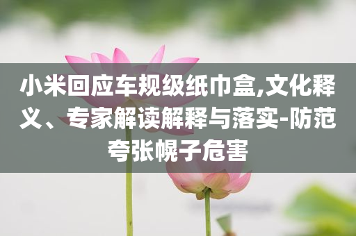 小米回應(yīng)車規(guī)級紙巾盒,文化釋義、專家解讀解釋與落實-防范夸張幌子危害