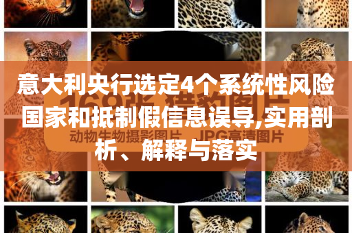 意大利央行選定4個系統(tǒng)性風(fēng)險(xiǎn)國家和抵制假信息誤導(dǎo),實(shí)用剖析、解釋與落實(shí)