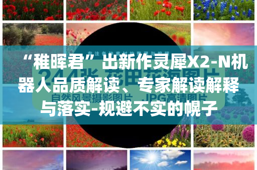 “稚暉君”出新作靈犀X2-N機(jī)器人品質(zhì)解讀、專家解讀解釋與落實-規(guī)避不實的幌子