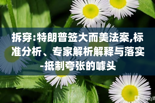 拆穿:特朗普簽大而美法案,標準分析、專家解析解釋與落實-抵制夸張的噱頭