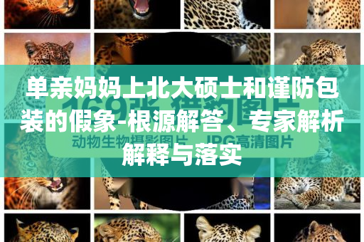 單親媽媽上北大碩士和謹(jǐn)防包裝的假象-根源解答、專家解析解釋與落實(shí)