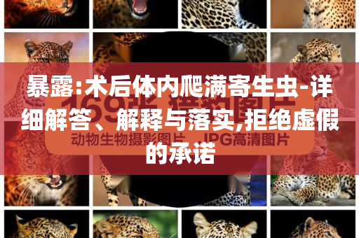 暴露:術(shù)后體內(nèi)爬滿寄生蟲-詳細(xì)解答、解釋與落實(shí),拒絕虛假的承諾