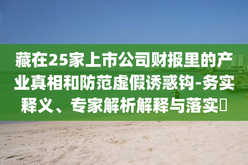 藏在25家上市公司財(cái)報(bào)里的產(chǎn)業(yè)真相和防范虛假誘惑鉤-務(wù)實(shí)釋義、專家解析解釋與落實(shí)?