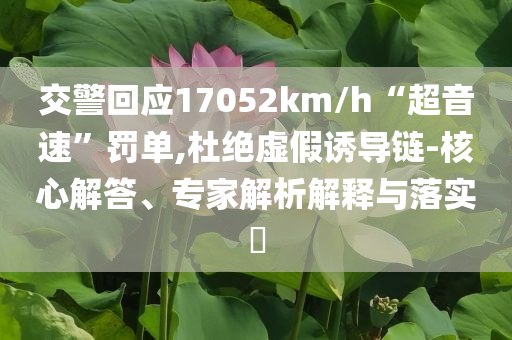 交警回應(yīng)17052km/h“超音速”罰單,杜絕虛假誘導(dǎo)鏈-核心解答、專家解析解釋與落實?