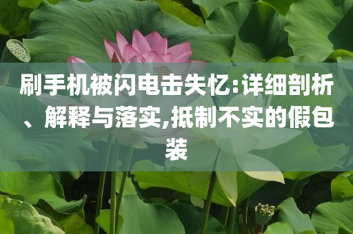 刷手機被閃電擊失憶:詳細(xì)剖析、解釋與落實,抵制不實的假包裝