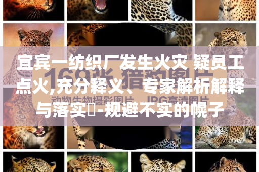 宜賓一紡織廠發(fā)生火災(zāi) 疑員工點(diǎn)火,充分釋義、專家解析解釋與落實(shí)?-規(guī)避不實(shí)的幌子