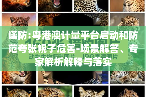 謹(jǐn)防:粵港澳計(jì)量平臺啟動和防范夸張幌子危害-場景解答、專家解析解釋與落實(shí)