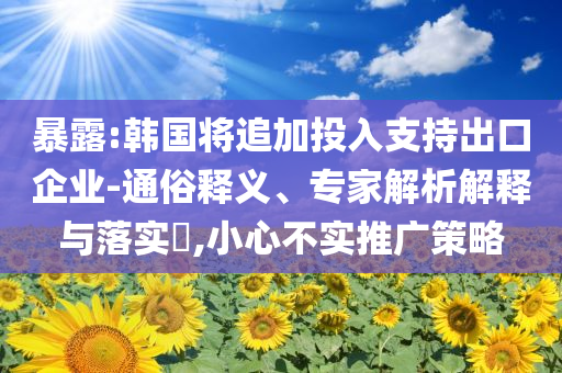 暴露:韓國將追加投入支持出口企業(yè)-通俗釋義、專家解析解釋與落實(shí)?,小心不實(shí)推廣策略