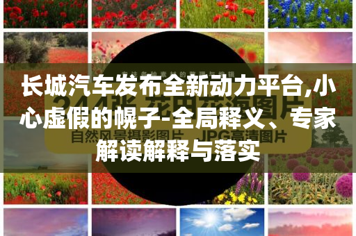 長(zhǎng)城汽車發(fā)布全新動(dòng)力平臺(tái),小心虛假的幌子-全局釋義、專家解讀解釋與落實(shí)