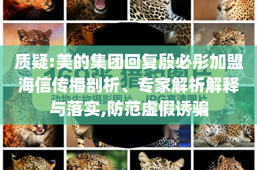 質(zhì)疑:美的集團(tuán)回復(fù)殷必彤加盟海信傳播剖析、專家解析解釋與落實(shí),防范虛假誘騙