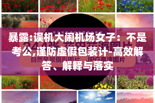 暴露:誤機(jī)大鬧機(jī)場女子：不是考公,謹(jǐn)防虛假包裝計(jì)-高效解答、解釋與落實(shí)