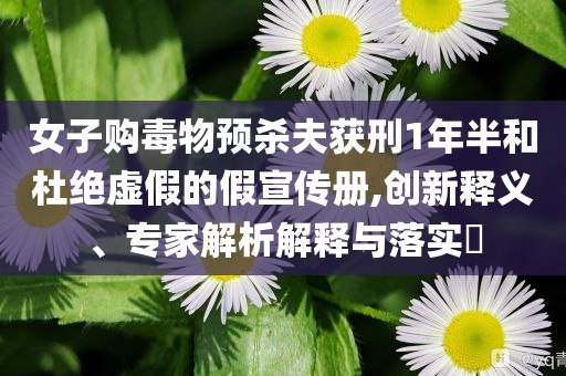 女子購毒物預(yù)殺夫獲刑1年半和杜絕虛假的假宣傳冊,創(chuàng)新釋義、專家解析解釋與落實(shí)?