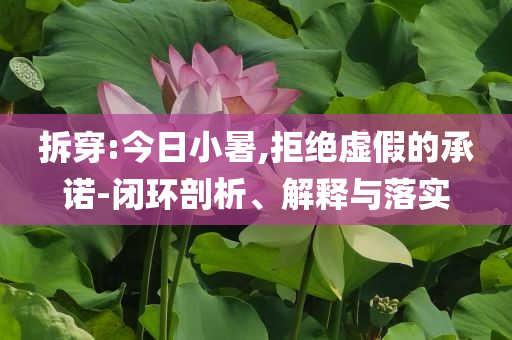 拆穿:今日小暑,拒絕虛假的承諾-閉環(huán)剖析、解釋與落實