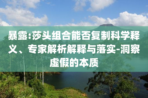 暴露:莎頭組合能否復制科學釋義、專家解析解釋與落實-洞察虛假的本質