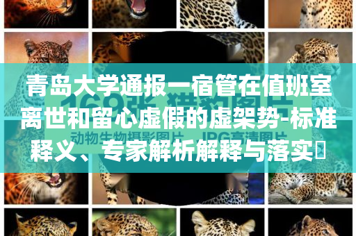 青島大學(xué)通報(bào)一宿管在值班室離世和留心虛假的虛架勢-標(biāo)準(zhǔn)釋義、專家解析解釋與落實(shí)?