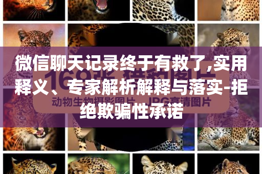 微信聊天記錄終于有救了,實(shí)用釋義、專家解析解釋與落實(shí)-拒絕欺騙性承諾
