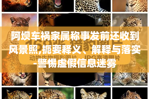 阿壩車禍家屬稱事發(fā)前還收到風(fēng)景照,扼要釋義、解釋與落實-警惕虛假信息迷霧