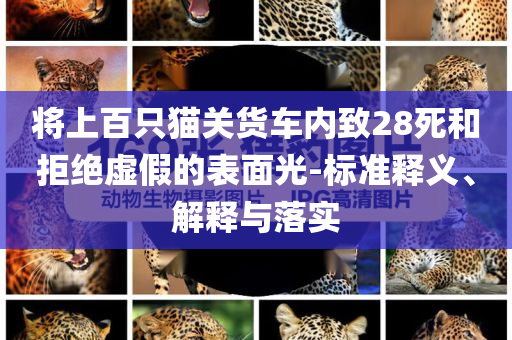 將上百只貓關(guān)貨車內(nèi)致28死和拒絕虛假的表面光-標(biāo)準(zhǔn)釋義、解釋與落實(shí)
