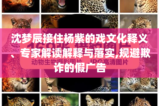 沈夢辰接住楊紫的戲文化釋義、專家解讀解釋與落實(shí),規(guī)避欺詐的假廣告