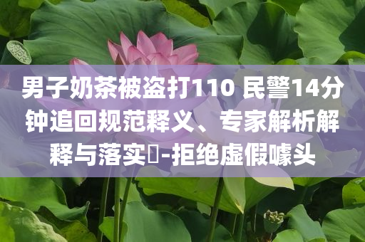 男子奶茶被盜打110 民警14分鐘追回規(guī)范釋義、專家解析解釋與落實(shí)?-拒絕虛假噱頭