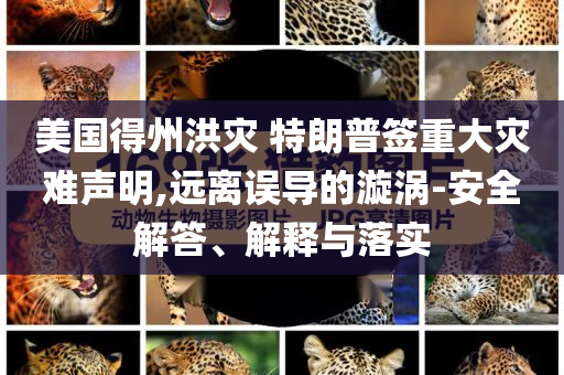 美國得州洪災(zāi) 特朗普簽重大災(zāi)難聲明,遠(yuǎn)離誤導(dǎo)的漩渦-安全解答、解釋與落實(shí)