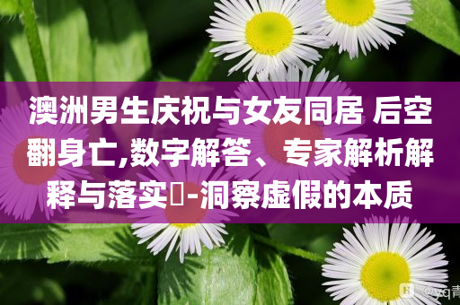 澳洲男生慶祝與女友同居 后空翻身亡,數(shù)字解答、專家解析解釋與落實(shí)?-洞察虛假的本質(zhì)