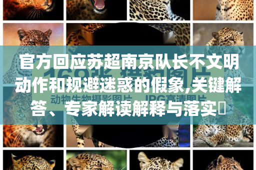 官方回應(yīng)蘇超南京隊長不文明動作和規(guī)避迷惑的假象,關(guān)鍵解答、專家解讀解釋與落實(shí)?