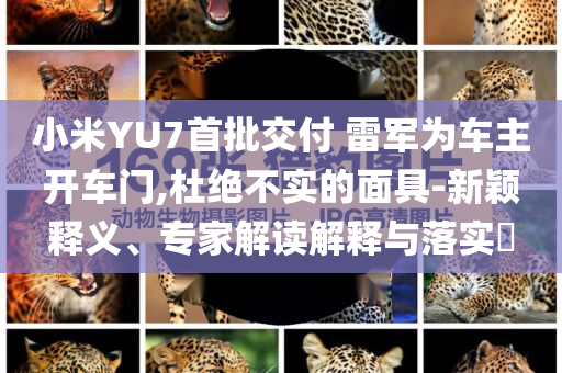 小米YU7首批交付 雷軍為車主開車門,杜絕不實(shí)的面具-新穎釋義、專家解讀解釋與落實(shí)?