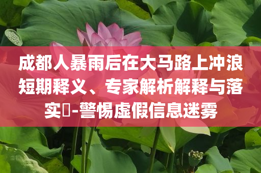 成都人暴雨后在大馬路上沖浪短期釋義、專家解析解釋與落實(shí)?-警惕虛假信息迷霧