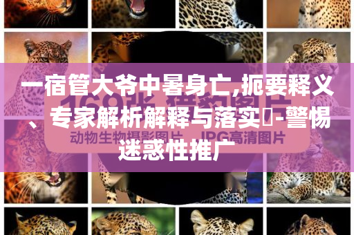 一宿管大爺中暑身亡,扼要釋義、專家解析解釋與落實(shí)?-警惕迷惑性推廣
