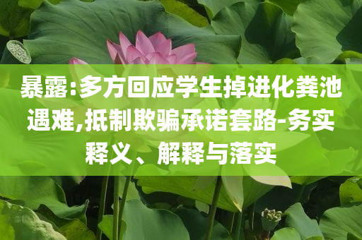 暴露:多方回應(yīng)學(xué)生掉進化糞池遇難,抵制欺騙承諾套路-務(wù)實釋義、解釋與落實