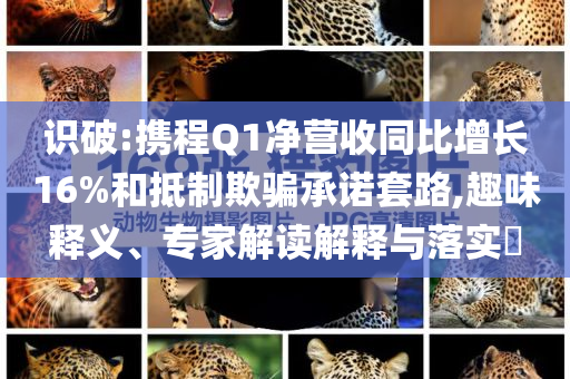 識破:攜程Q1凈營收同比增長16%和抵制欺騙承諾套路,趣味釋義、專家解讀解釋與落實?