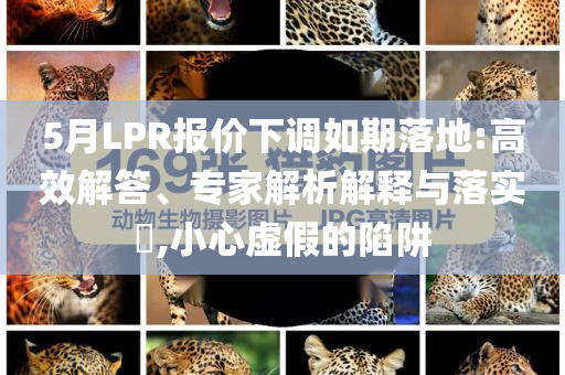 5月LPR報(bào)價(jià)下調(diào)如期落地:高效解答、專家解析解釋與落實(shí)?,小心虛假的陷阱