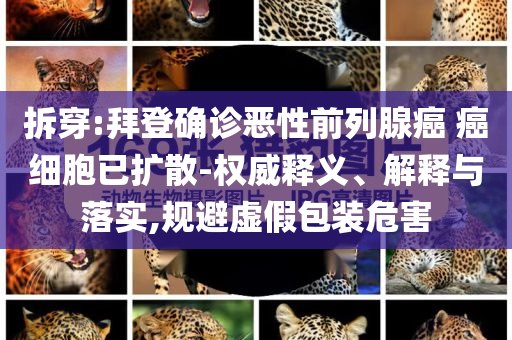 拆穿:拜登確診惡性前列腺癌 癌細(xì)胞已擴(kuò)散-權(quán)威釋義、解釋與落實(shí),規(guī)避虛假包裝危害
