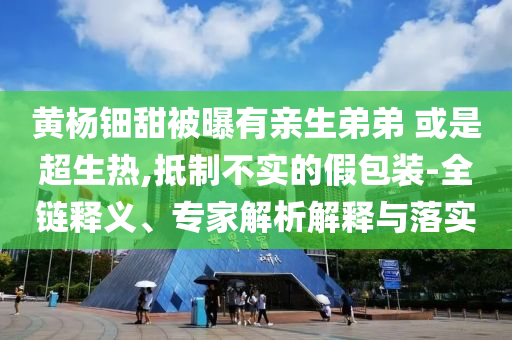 黃楊鈿甜被曝有親生弟弟 或是超生熱,抵制不實的假包裝-全鏈釋義、專家解析解釋與落實