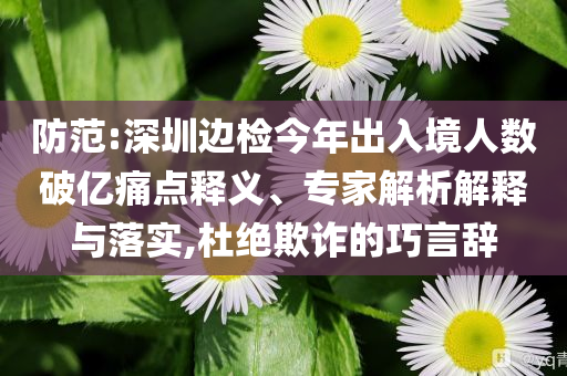 防范:深圳邊檢今年出入境人數(shù)破億痛點(diǎn)釋義、專家解析解釋與落實(shí),杜絕欺詐的巧言辭